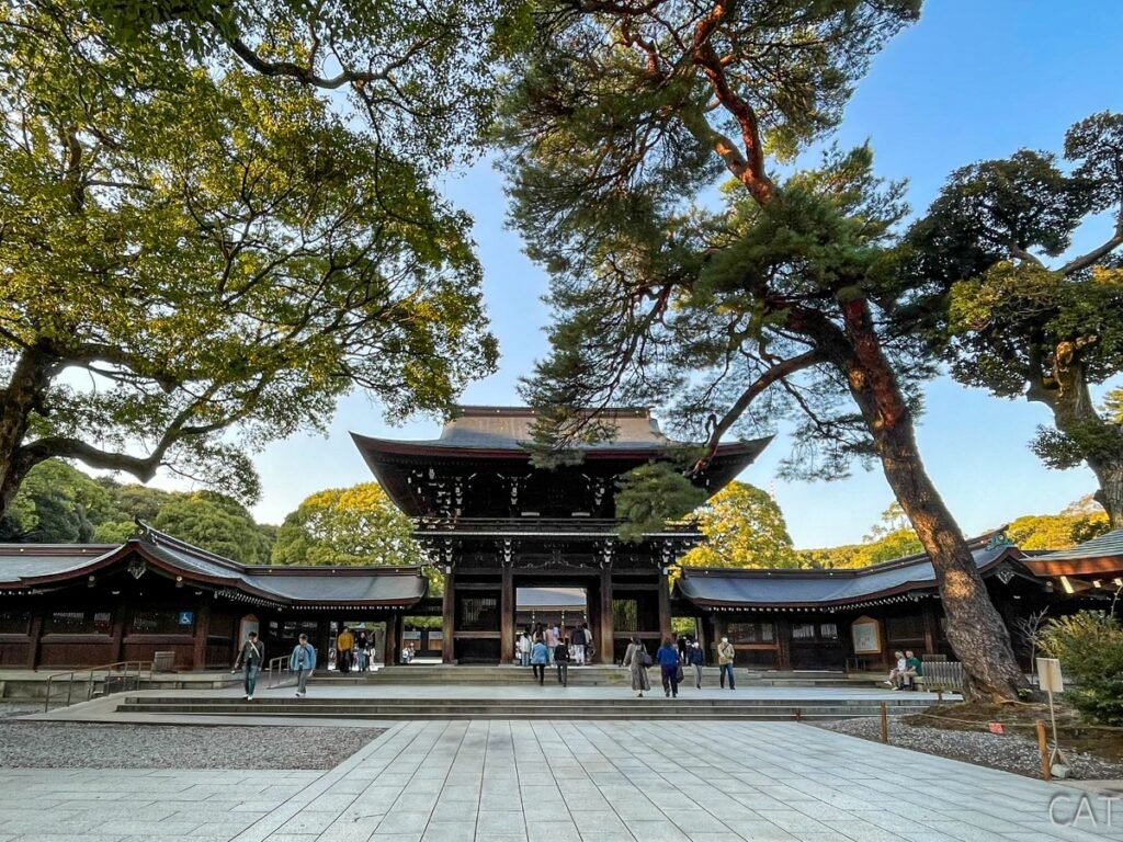 Tokio en 4 días: Santuario Meiji Jingu