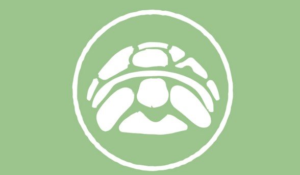 Conservación de las tortugas